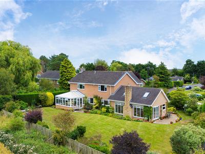 Picture 34